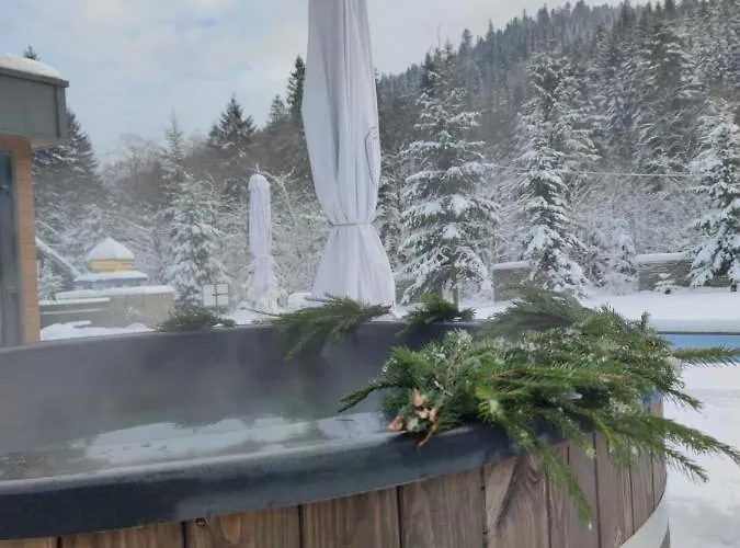 Venterivka Chalet *